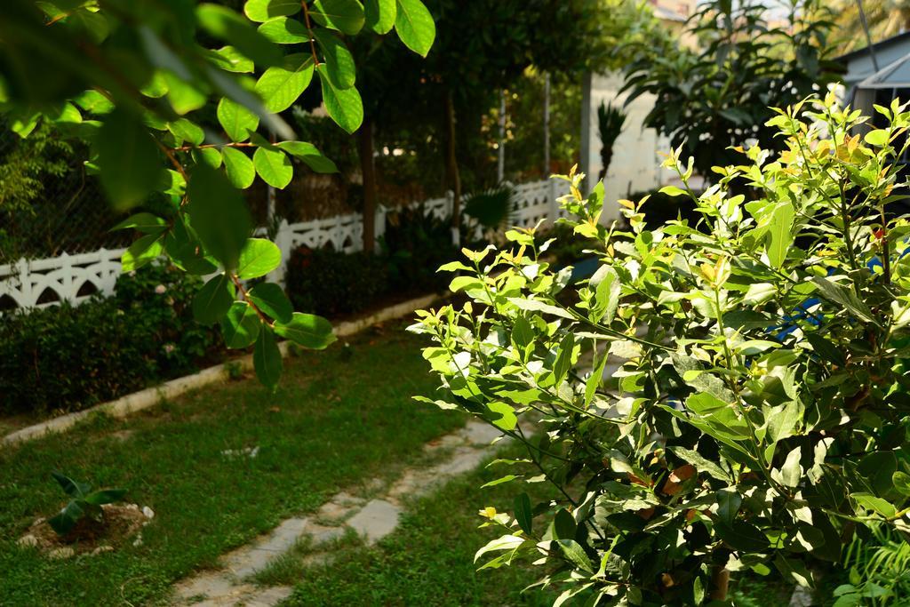 Pinar Hotel Αλάνια Εξωτερικό φωτογραφία