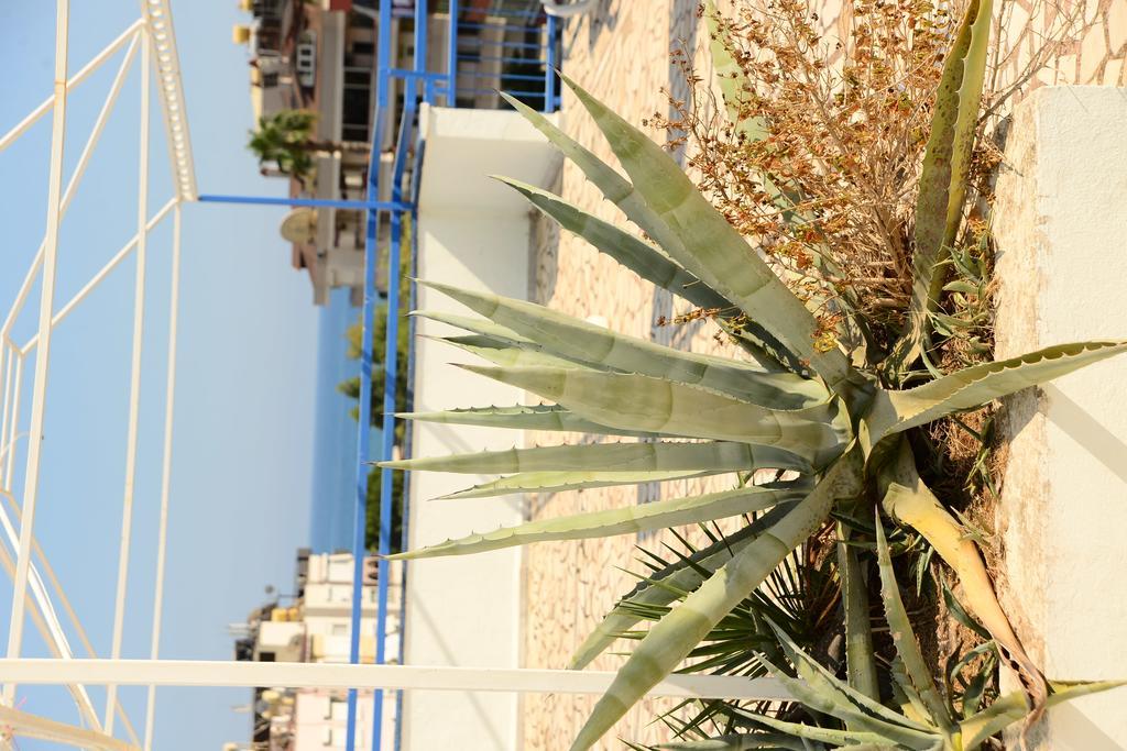 Pinar Hotel Αλάνια Εξωτερικό φωτογραφία